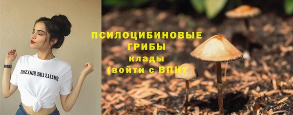ALPHA PVP Арсеньев