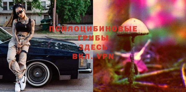 дурь Армянск