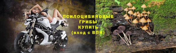 ALPHA PVP Арсеньев