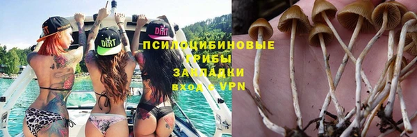 прущая мука Аркадак